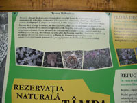 TAMPA REZERVATIE NATURALA BRASOV